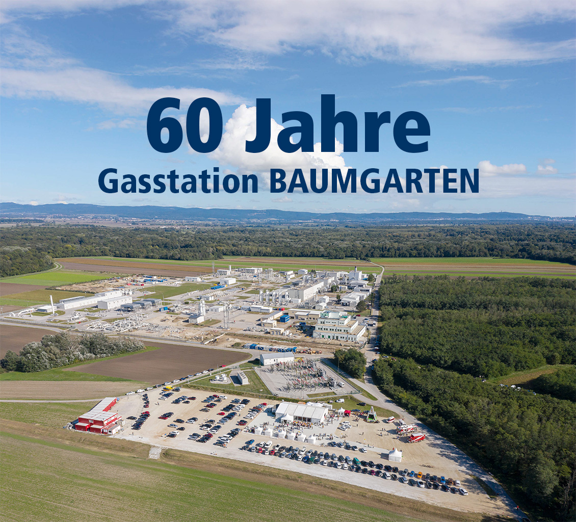60 years of secure gas supply - a review